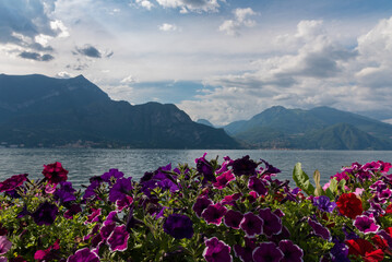 A stunning lakeside view from Lake Como,Italy,captured with vibrant summer flowers in the foreground