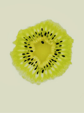 Fruit  Kiwi  tranche  transparence  minimalisme design graphique beaut&eacute; simplicit&eacute;  nature  gros plan  close -up slice  artistique