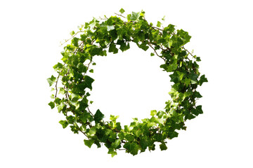 Circular greenery wreath