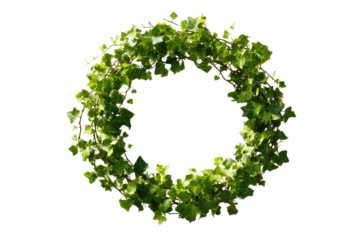 Circular greenery wreath