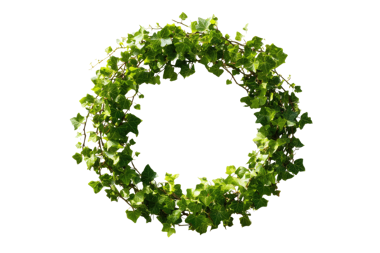 Circular greenery wreath