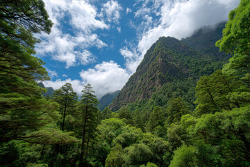 Fototapeta premium breathtaking beauty of laurel forests nestled against majestic backdrop of worlds top mountains captivates