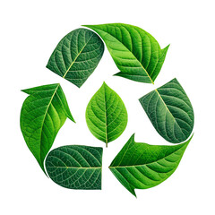 Eco Friendly Recycling Symbol with Leaf Isolated on Transparent Background – Environmental PNG Clipart