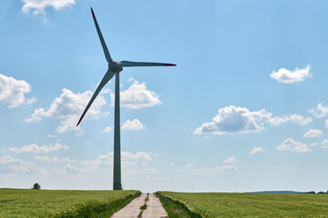 Obraz premium Wind turbine with red tipped blades stands beside cultivated wheat farmland and straight concrete road under clear blue sky evoking balance between human effort and natural resources