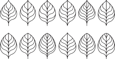 Obraz premium Symmetrical black and white leaf pattern illustration