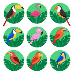 Obraz premium Tropical Birds Collection toucan macaw