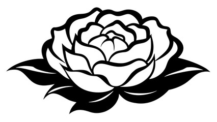Obraz premium Black and White Sketch Style Peony Flower Illustration