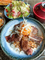 Delicious Japanese Beef Rice Bowl with Fresh Vegetables