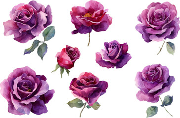 Fototapeta premium bouquet of pink roses