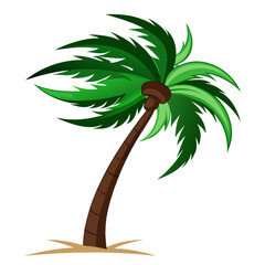 tropical palm tree