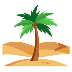 palm tree on the beach