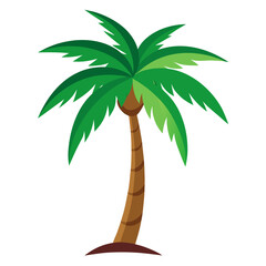palm tree vector