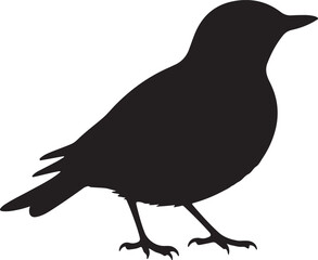 Tree Pipit in silhouette full white baackground.