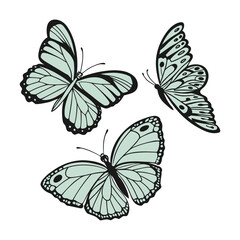 A vibrant collection of colorful butterfly vector illustrations showcases the beauty of these winged insects in nature