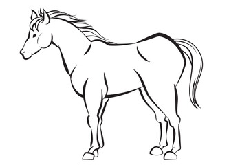 筆書き風の馬のイラスト、午年の年賀状素材