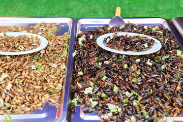 Crispy fried crickets ready to eat arranged on a plate for sale as street food. Deep-fried dark...