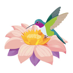 Hummingbirds on a Soft Pink Flower Nectar