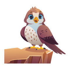 Young Owl Standing on Rocky Outcropping Alone