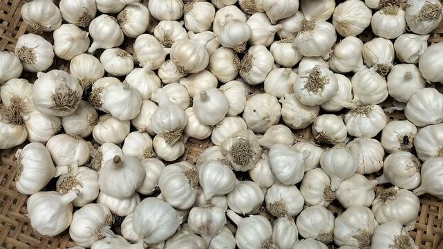 Top angle of garlic bulbs drying in bamboo made basket, Video of natural drying Process of white garlic, View of garlic piles sun drying clip 