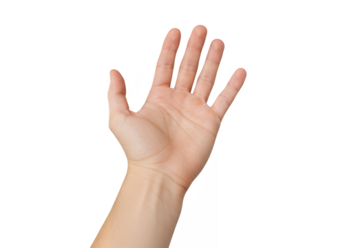 Human hand raised open palm isolated on transparent background