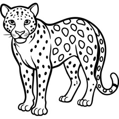 Amur Leopard line art vector