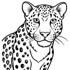 Amur Leopard line art vector