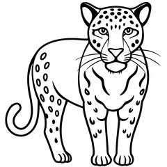 Amur Leopard line art vector