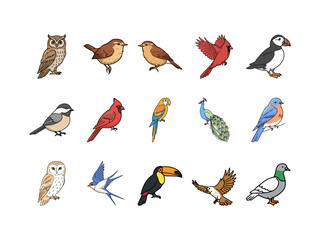 Colorful Different Birds on a Branch Clipart Collection Icon Logo – Hand Drawn Cartoon Birds Set Including Owl, Parrot, Peacock, Toucan, and More for Kids, Nature, and Educational Use