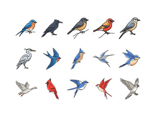 Colorful Different Birds on a Branch Clipart Collection Icon Logo – Hand Drawn Cartoon Birds Set Including Owl, Parrot, Peacock, Toucan, and More for Kids, Nature, and Educational Use