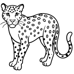 Amur Leopard line art vector