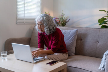 Elderly Woman Using Laptop to Work