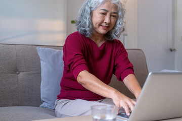 Elderly Woman Using Laptop to Work