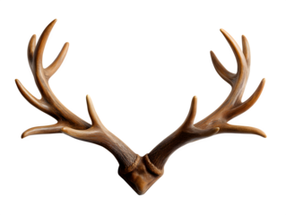 Wall-mounted wooden antlers for rustic d?cor isolated on transparent background