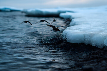 Glacial river surrounded by ice formations and birds in flight during a serene twilight setting