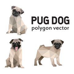 Cute Pug Dog Vector Set in low poly polygonal.  Sitting Pug Dog Icon in abstract logo. Vector abstract of pug dog collection