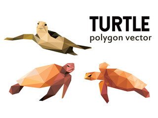 Turtle Collection in Polygonal Low Poly.  Turtle in Sea Icon in abstract Vector. Vector abstract of Turtle Set.