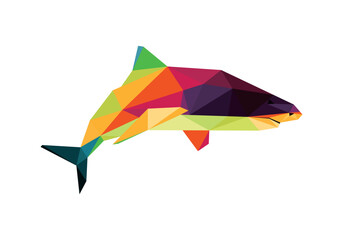 Wild Feoricous Shark in colorful Abstract Polygonal.  Shark fish in Low poly Vector . Shark colorful logo Illustration