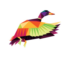 Flying Duck in colorful Polygonal low poly.  Duck abstract Vector Illustration. Duck colorful logo Abstract.