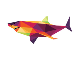 Shark in colorful Abstract Polygonal.  Shark fish in Low poly Vector . Shark colorful logo Illustration.