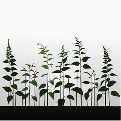 Fototapeta premium Stylized Green Plants with Leaves and Tall Stems Illustration