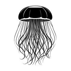 A vector Icon of Jellyfish