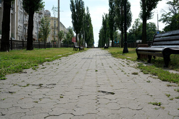 Urban tranquility along the tree-lined streets of Kiev in summer