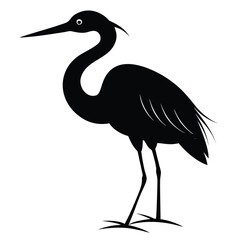 Great blue heron standing in water, a majestic wild bird with grey feathers and a long beak