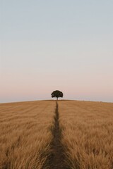 Path winding through a golden field to a solitary tree on a hill, bathed in soft pastel twilight sky, evoking peace and natural beauty.