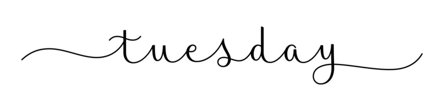 TUESDAY black brush calligraphy banner with swashes on transparent background
