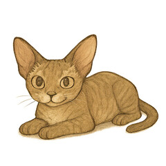 Relaxed tabby kitten smiling, tabby kitten lying down, tabby kitten peaceful mood, Smiling tabby kittens for cute pet merchandise, Relaxing kitten moments for wellness or self-care ads
