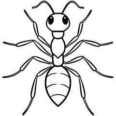 Army Ants line art vector