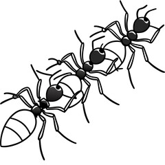Army Ants line art vector