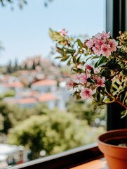 Naklejka premium Blossoming Flowers with Scenic View of City Landscape in Background