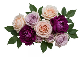 Fototapeta premium Beautiful arrangement of assorted roses isolated on transparent background